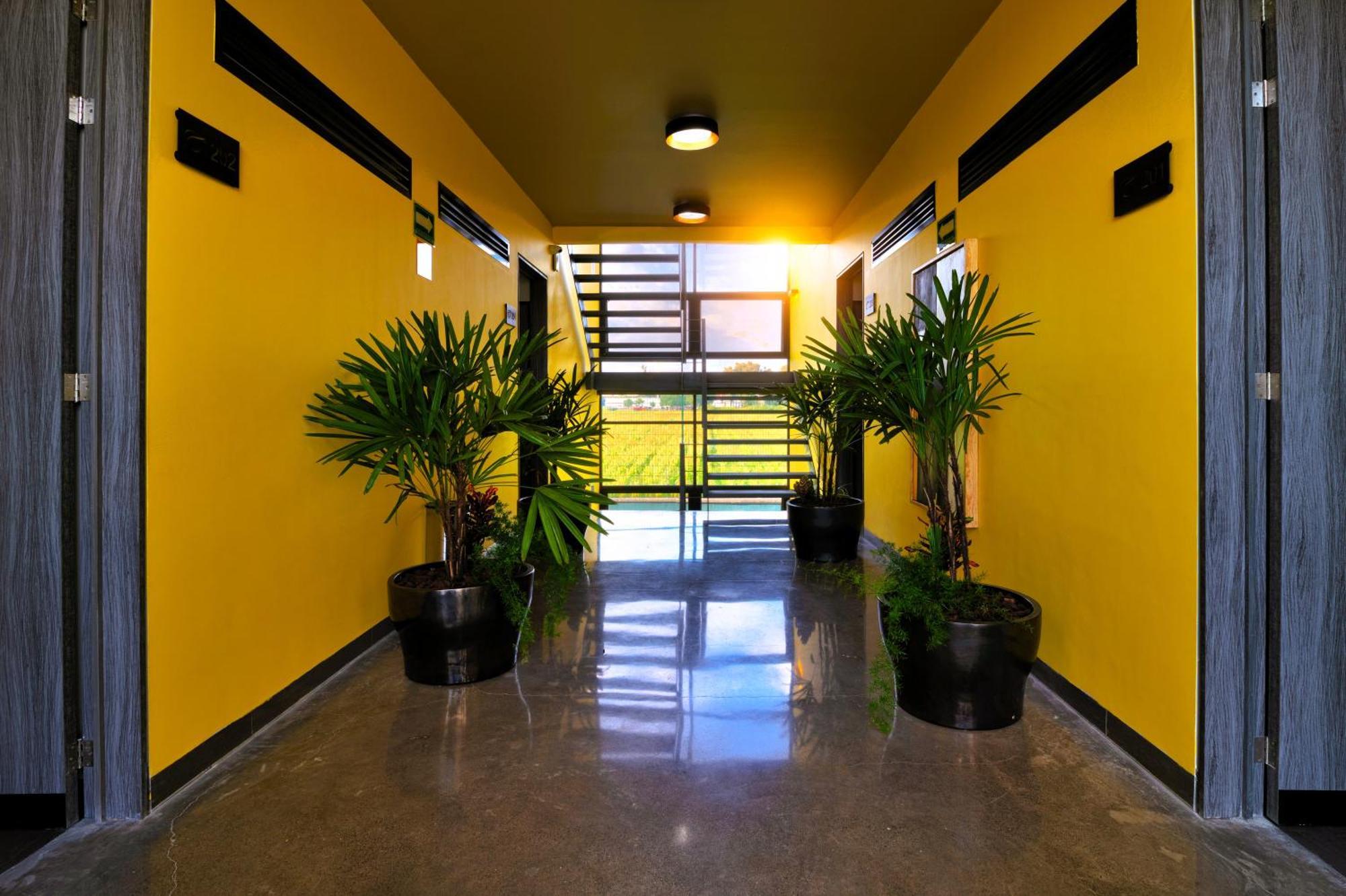 Arboleda 5 Luxury Lofts Aparthotel Silao Exterior foto